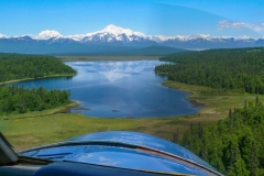 "Denali Approach"