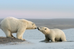 "Mother and Child Reunion"