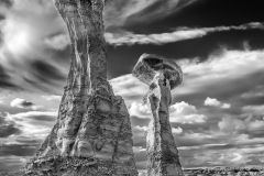 2018 Bisti 10 08 08310-HDR bw