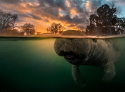 "Need a hand here buddy?"