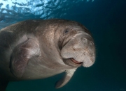 Smile for the Camera