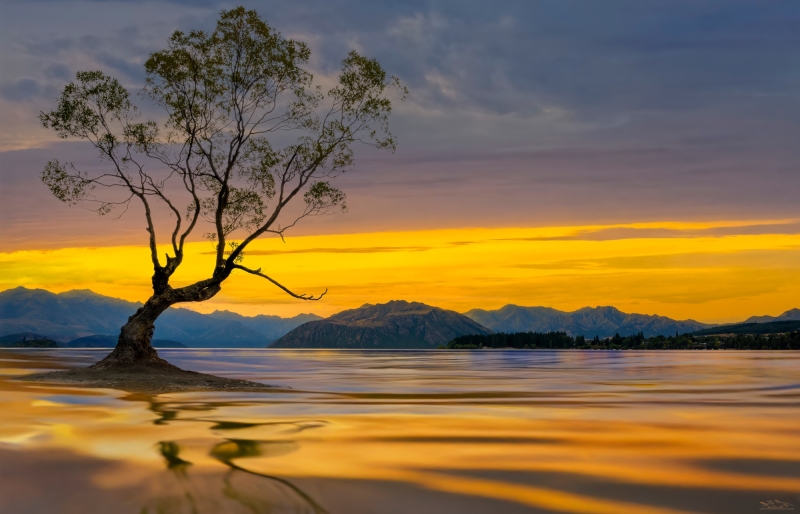 "The Golden Hour"
