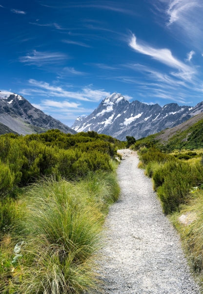 Walking Therapy