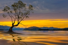 "The Golden Hour"