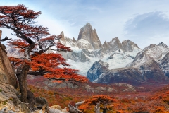\'Mirador\'