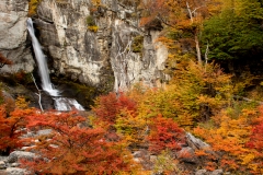 \'The Flames of Fall\'