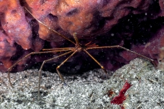 'Waiting for the Starship Troopers'