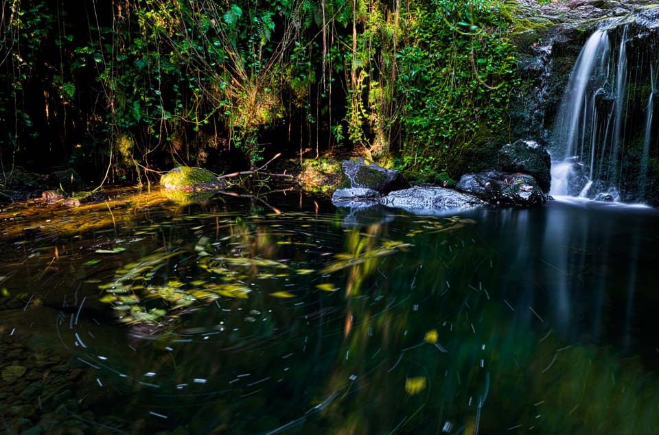 Little Surprises:  Little Wailua Falls...Maui's Subtle Hidden Treasure