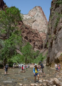 Zion Virgin Narrows Photo Tips and Guide