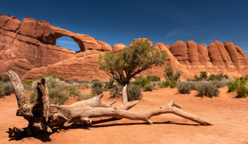 Some Photographic Highlights of Arches and Canyonlands NP