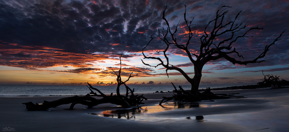 Jekyll Island's Driftwood Beach Photography Tips