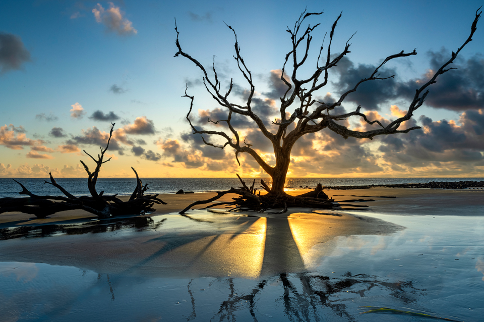 Jekyll Island’s Driftwood Beach Photography Tips
