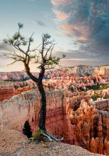 Utah Photography Expedition 2021:  Day One / Bryce Canyon and Escalante Pictographs