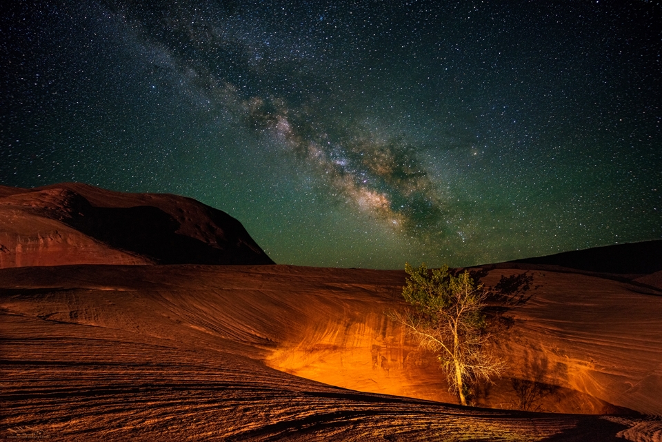 "The Lonely Tree" in the Pothole at Dancehall Rock Escalante Milky Way
