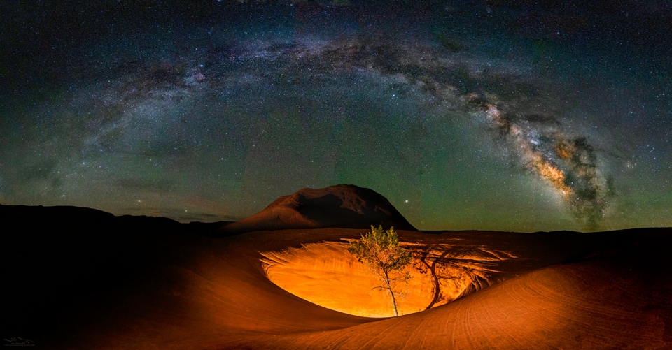 "The Lonely Tree" in the Pothole at Dancehall Rock Escalante Milky Way